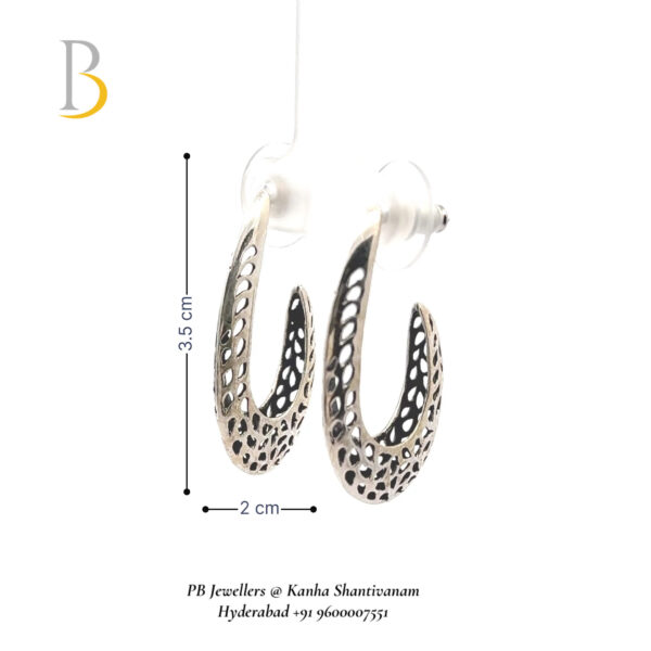 Elegant Silver Earrings