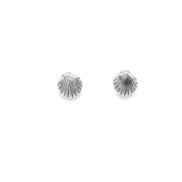 Elegant Shell-Shaped Earrings