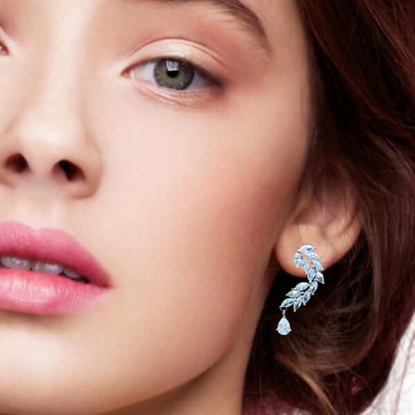 Elegant Big Diamond Earrings
