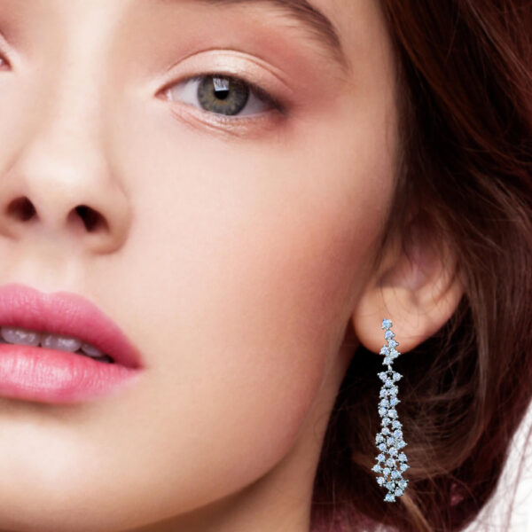 Elegant Diamond Earrings